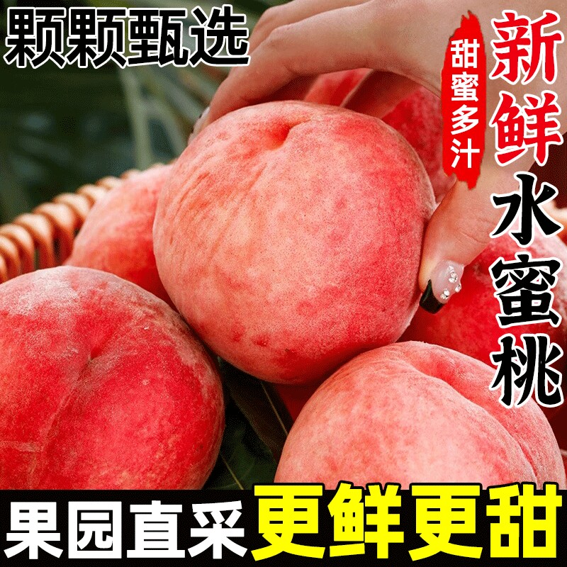 新鲜2026现货露天水蜜桃脆桃毛桃时令孕妇桃子水果当季整箱自提
