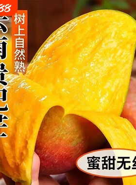 云南元江正宗小金凤芒果金凤凰芒当季新鲜整箱贵妃普通盒包装优选