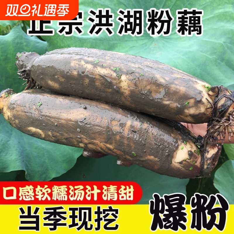 正宗湖北粉藕洪湖莲藕新鲜煲汤