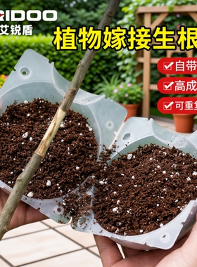植物高压繁殖嫁接盒花卉果树控根神器扦插枝繁殖球生根育苗繁殖器