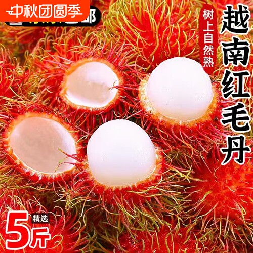 新鲜正宗越南红毛丹顺丰京东包邮