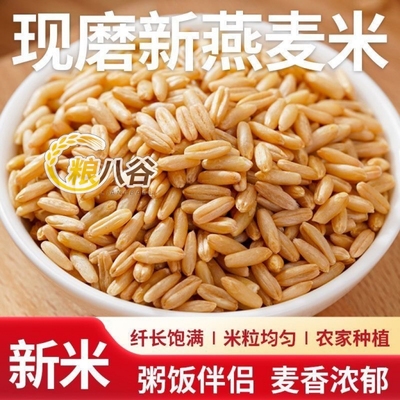 新米胚芽米燕麦仁去壳东北燕麦农家自产燕麦米麦香燕麦粒燕麦米