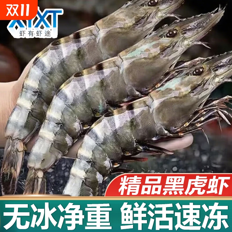 黑虎虾3.2斤大虾鲜活超大老虎虾新鲜速冻深海基围虾特大竹节虾