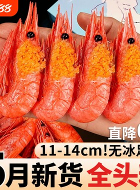 北极甜虾北极熊头籽北极虾冰虾海鲜水产带籽大虾鲜活速冻刺身熟冻