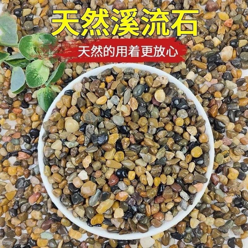 5斤天然鹅卵石原生溪流石鱼缸铺底砂装饰过滤造景小石子豆石养鱼