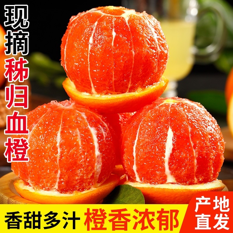 中华红血橙新鲜水果秭归红橙皮包邮当季脐冰糖9斤现摘橙子应季,水产肉类/新鲜蔬果/熟食,橙,淘宝优惠券,粉丝福利购,淘宝优惠卷