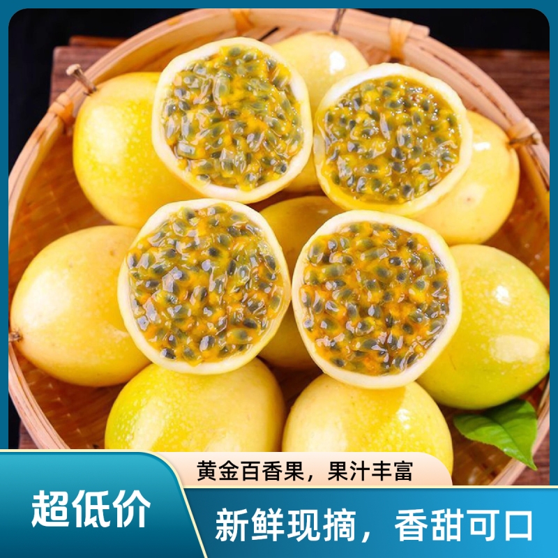 钦蜜9号黄金百香果3斤原产地新鲜现摘饱满多汁送礼营养LZ鲜果纯甜