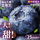 大果鲜果 包邮 云南蓝莓新鲜水果特大当季 高山L25花香孕妇怡颗超大