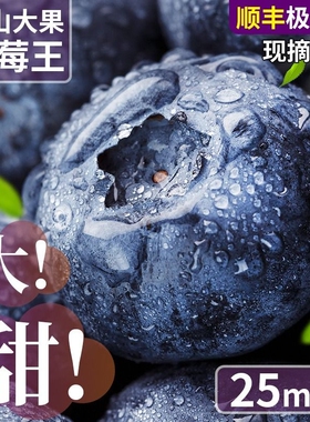 云南蓝莓新鲜水果特大当季高山L25花香孕妇怡颗超大包邮大果鲜果