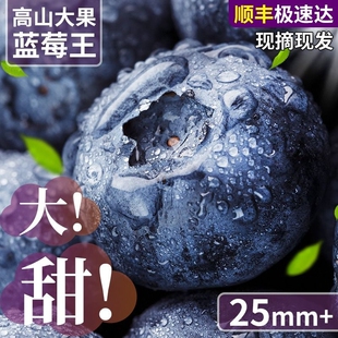 大果鲜果 包邮 云南蓝莓新鲜水果特大当季 高山L25花香孕妇怡颗超大