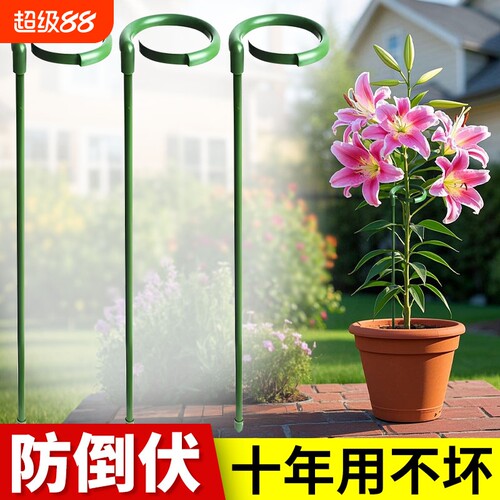 植物支撑杆龟背竹花卉支撑架
