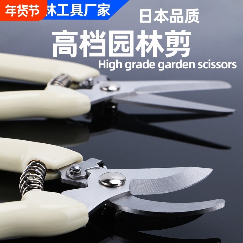 剪枝修枝园林剪刀园艺剪果树摘果花艺盆景果枝工具剪修剪枝条,五金/工具,园艺剪,淘宝优惠券,粉丝福利购,淘宝优惠卷