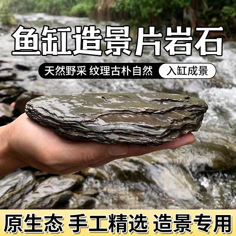 天然溪流片石乌龟绿片岩岩石假山鱼缸石头造景石原生石大块生态图片