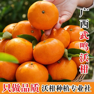广西武鸣沃柑5 沙糖蜜橘砂糖柑橘产地直发 9斤橘子新鲜水果当季