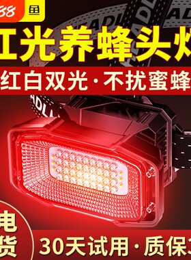 江尛鱼养蜂专用头灯超大泛光