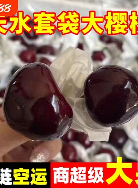 甘肃天水大樱桃5斤美早爆甜多汁