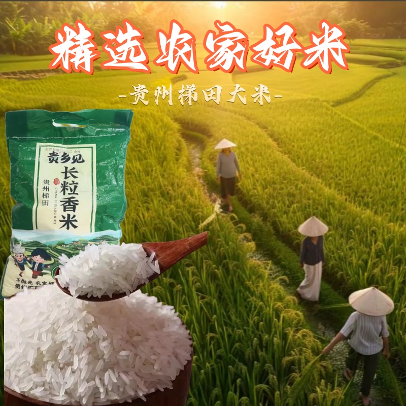 现磨农家优质梯田米10斤实惠装贵州梯田长粒香米煮饭煮粥皆美味
