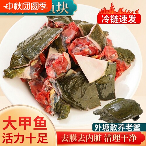 鲜活甲鱼现捕现杀切块老鳖去皮