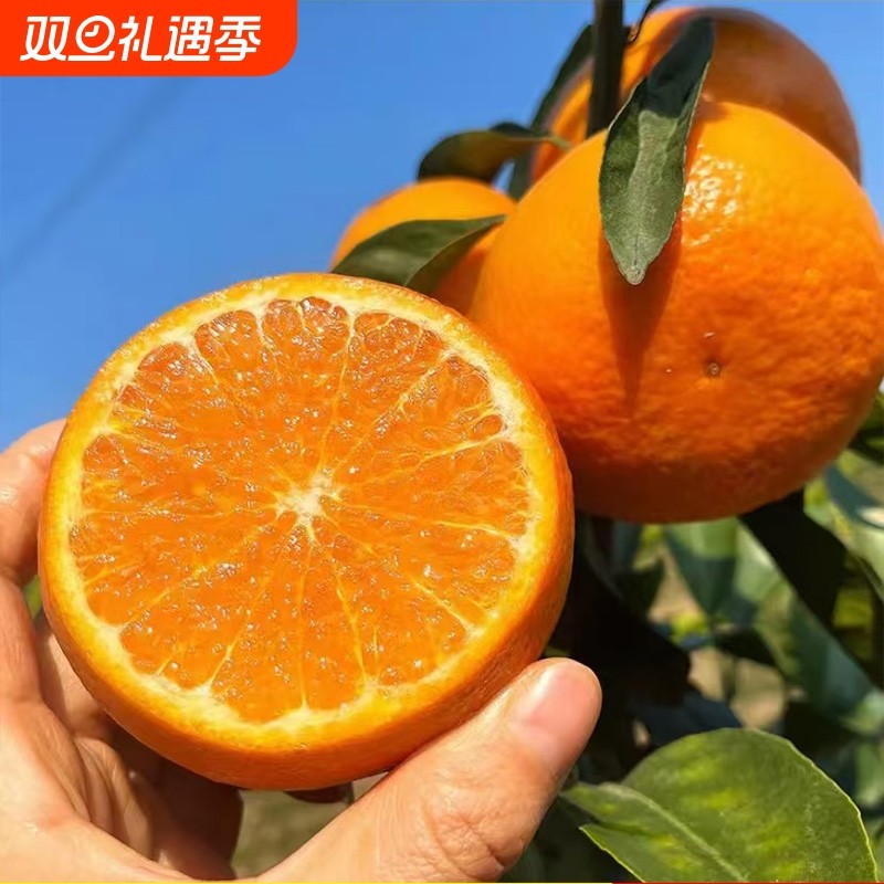 正宗云南沃柑大果当季新鲜现摘柑橘沙糖蜜桔子整箱广西武鸣县阳光