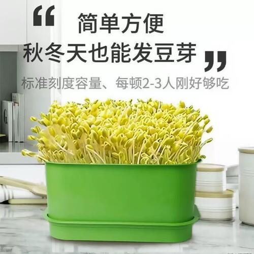 育苗盆水培豆芽家用发芽黄绿豆芽