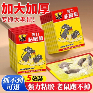 老鼠贴强力粘鼠板超强家用厨房灭鼠笼捕鼠神器正品一窝端加厚捕捉