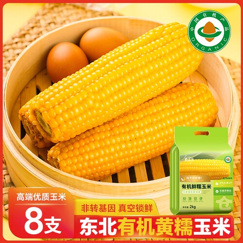 东北有机黄糯玉米当季新货采摘软糯黄苞米主食糯玉米轻食代餐真空