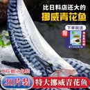 青花鱼挪威进口鲭鱼青占鱼新鲜冷冻盐渍青花鱼片深海鱼鱼肉鲅鱼