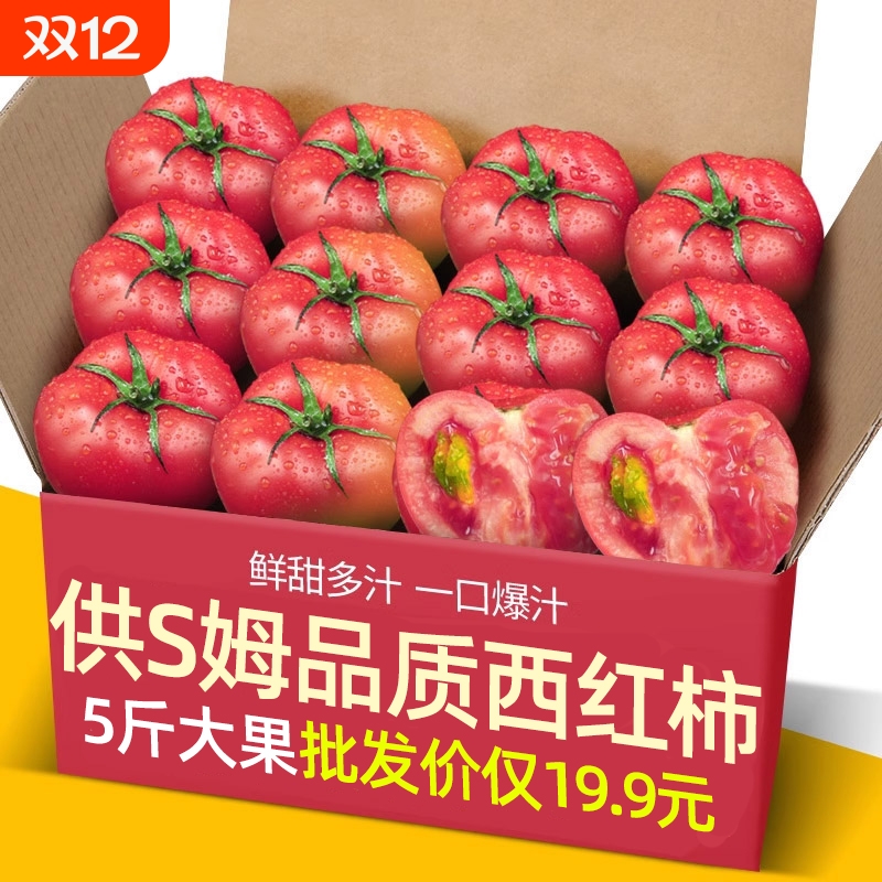 正宗供商超品质沙瓤西红柿