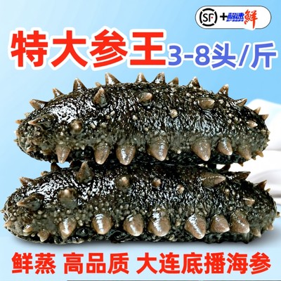 老渔民即食海参大连野生海生