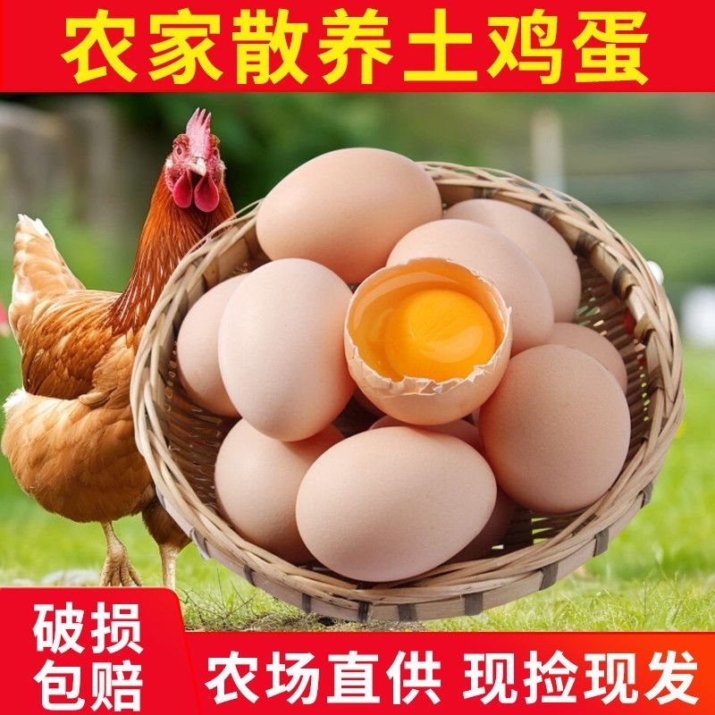 20枚新鲜正宗农家散养土鸡蛋笨鸡蛋林下初产蛋虫草鸡蛋现捡现发