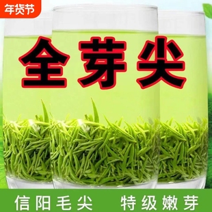 信阳毛尖2025新茶茶叶正宗原产明前特级嫩芽尖绿茶浓香型毛尖罐装