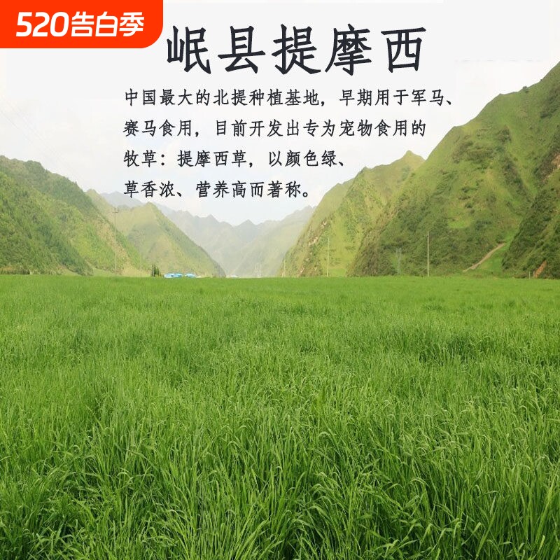 岷县提摩西草晒干特级宠物兔粮饲料500克包邮兔子荷兰猪龙猫提莫