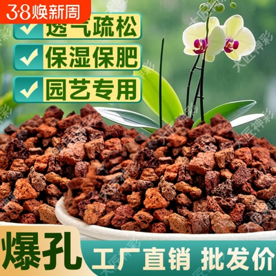 火山石小颗粒养花蝴蝶兰花专用多肉铺面石水培植物铺底鱼缸底砂石