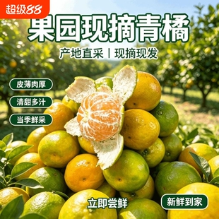 宜昌青皮新鲜蜜桔5斤60mm
