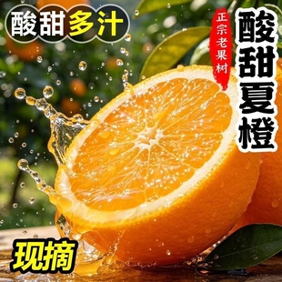 夏橙鲜橙多汁秭归当季新鲜正宗薄皮水果孕妇商超批发甜橙薄皮整箱