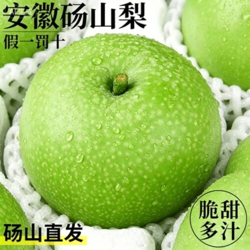 梨子新鲜水果砀山青梨皇冠梨当季翠冠梨香酥脆蜜早雪梨正宗