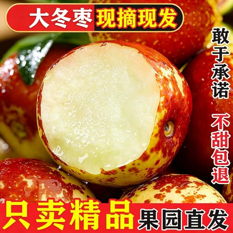 大荔冬枣新鲜冰糖脆甜特大5斤整箱包邮孕妇水果现货当季枣子鲜枣