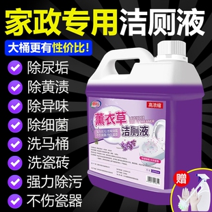 花香洁厕灵液马桶厕所清洁剂薰衣草清香型去异味除臭除垢去渍留香