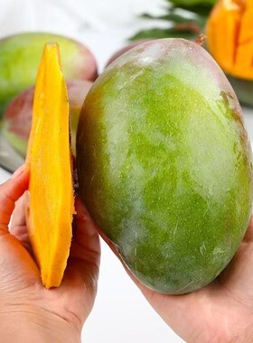 四川攀枝花凯特芒果新鲜水果5斤当季整箱包邮特大9青忙礼盒芒果