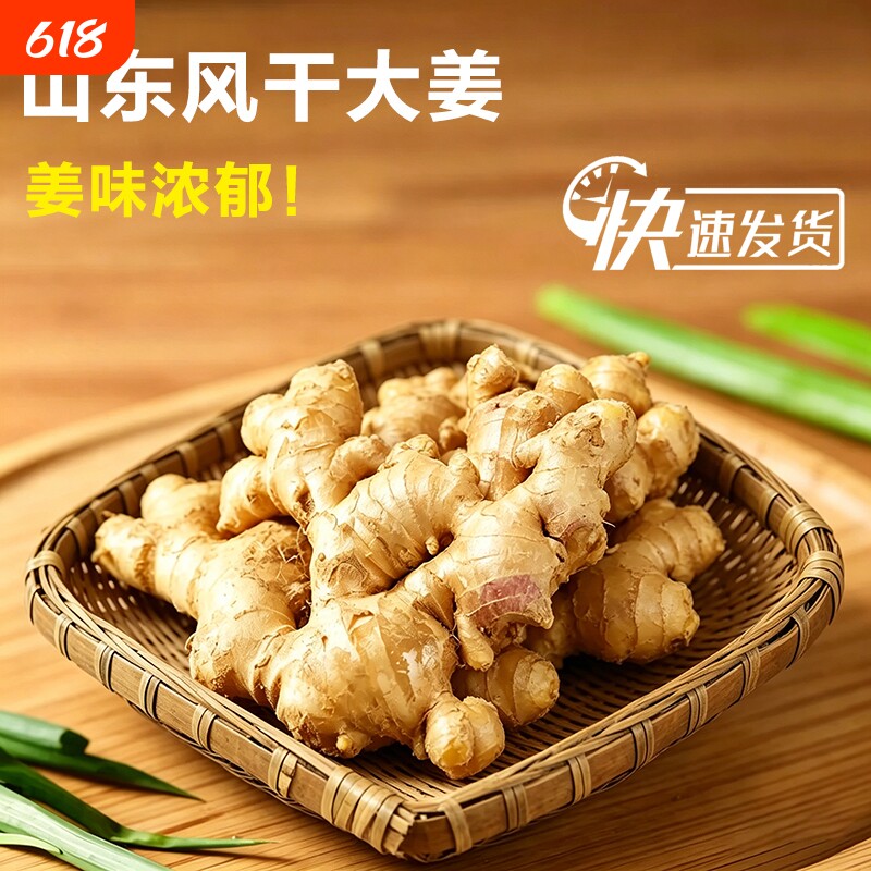 山东大姜生姜老姜月子姜风干姜现挖鲜姜新鲜老黄姜无残留包邮食用