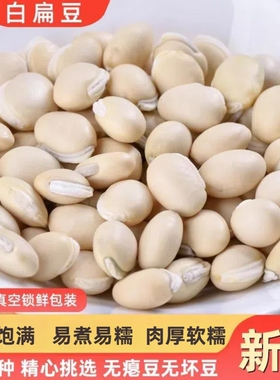 正宗云南白扁豆新货白豆小扁豆子干货农家新鲜小白云豆类煲汤煮粥