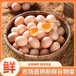 新鲜谷物鸡蛋农家谷饲柴鸡蛋笨鸡蛋40g初生蛋鲜鸡蛋草鸡蛋