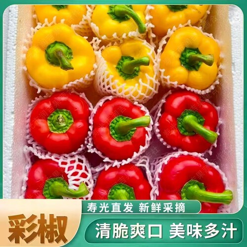 山东新鲜彩椒5斤圆辣椒当季