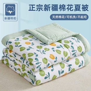 新疆棉花夏被单人薄被子a类空调被棉花夏凉被可机洗学生宿舍被芯