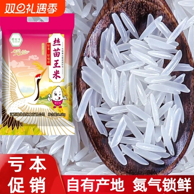 穗优味江西猫牙米500g袋装超好吃