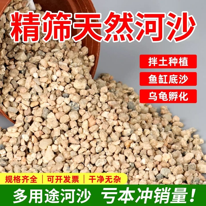 河沙粒精筛粗河砂多肉铺面石君子兰配土颗粒种植养花鱼缸造景底砂