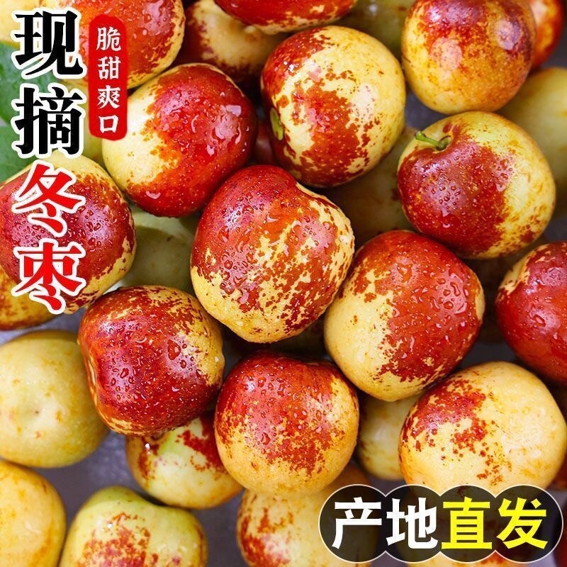 【正宗】山东沾化冬枣新鲜冰糖脆甜枣子整箱应季水果脆枣东枣