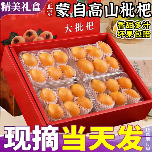 5斤礼盒 正宗蒙自高山枇杷鲜果当季现摘琵琶新鲜孕妇水果整箱甜大