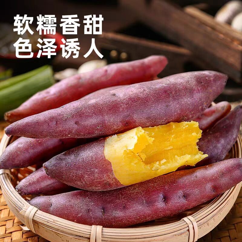 小香薯板栗软糯香甜红薯新鲜正宗黄心手指番薯现挖地瓜小番薯食用图片