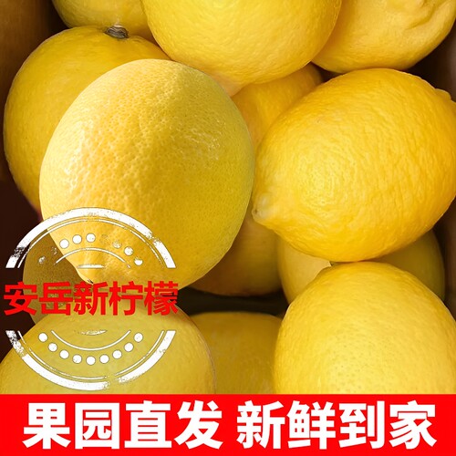 汁多味美黄柠檬当季新鲜皮薄